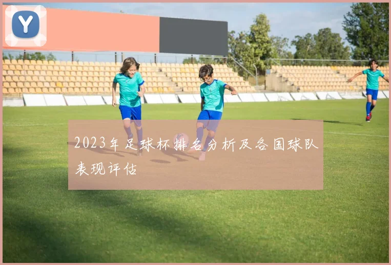 2023年足球杯排名分析及各国球队表现评估